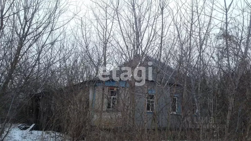Дом в Белгородская область, Валуйский муниципальный округ, с. Борисово ... - Фото 1