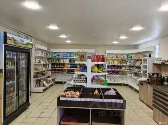 Торговая площадь в Алтай, Онгудайский район, с. Иня ул. Мира, 51 (81 ... - Фото 1