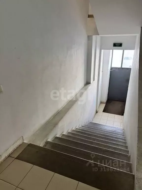 Офис в Белгородская область, Белгород ул. Костюкова, 36Г (33 м) - Фото 1