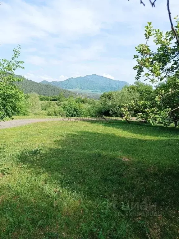 Участок в Алтай, Чемальский район, Элекмонарское с/пос, с. Элекмонар  ... - Фото 1
