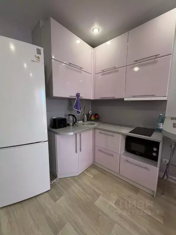 Студия Псковская область, Великие Луки ул. Гоголя, 15 (24.7 м) - Фото 2