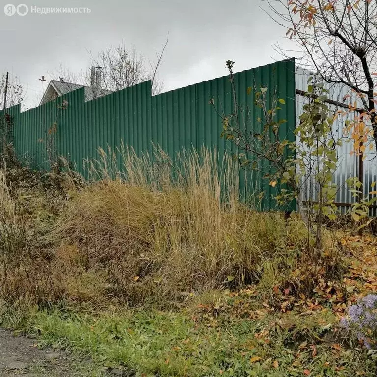 Участок в Нижегородская область, Вачский муниципальный округ, село ... - Фото 2