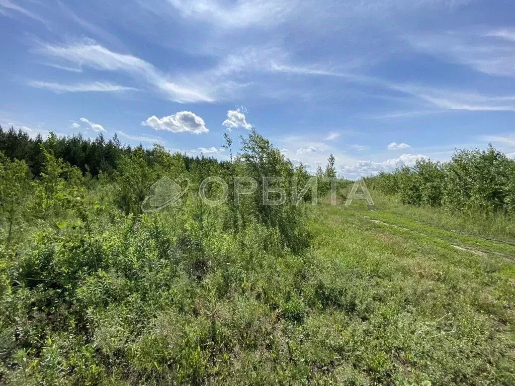 Участок в Тюменская область, Тюменский район, д. Головина  (20.0 сот.) - Фото 1