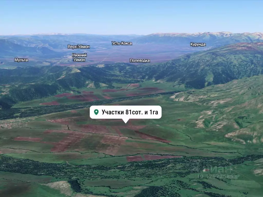Участок в Алтай, Усть-Коксинский район, с. Усть-Кокса  (181.0 сот.) - Фото 2
