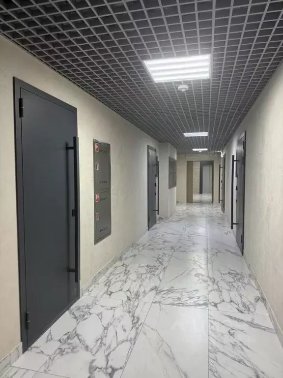 Помещение свободного назначения в Челябинская область, Челябинск ул. ... - Фото 2