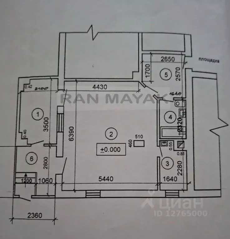 Помещение свободного назначения в Адыгея, Майкоп Краснооктябрьская ... - Фото 2