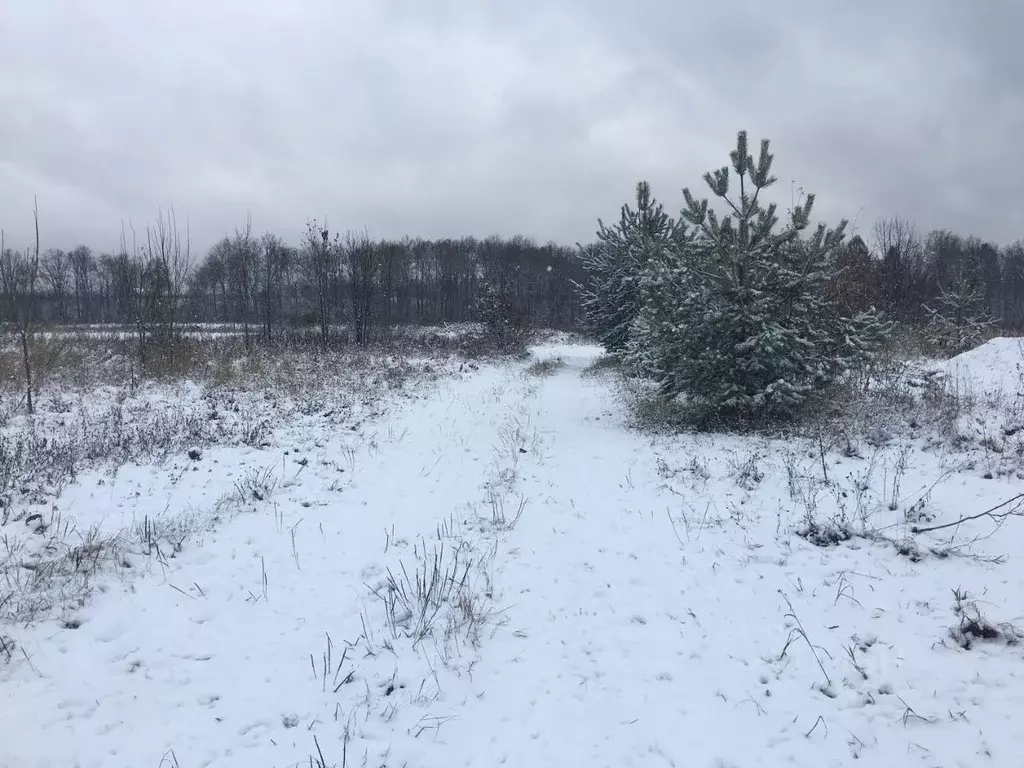 Участок в Московская область, Пушкинский городской округ, д. Цернское  ... - Фото 0