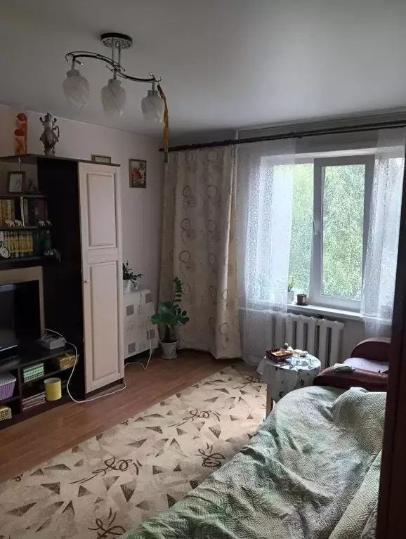 1-к кв. Алтайский край, Барнаул Северо-Западная ул., 27 (30.0 м) - Фото 1