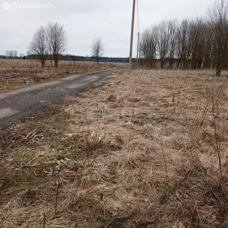 Участок в Ленинградская область, Волосовское городское поселение, ... - Фото 1