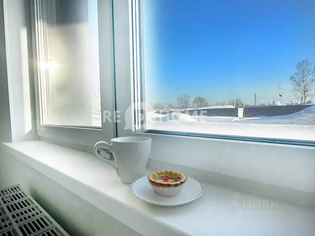 Студия Пермский край, Пермь Рионская ул., 4А (26.8 м) - Фото 2