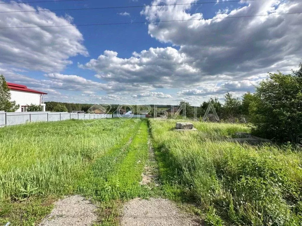Участок в Тюменская область, Тюменский муниципальный округ, с. Кулига ... - Фото 2