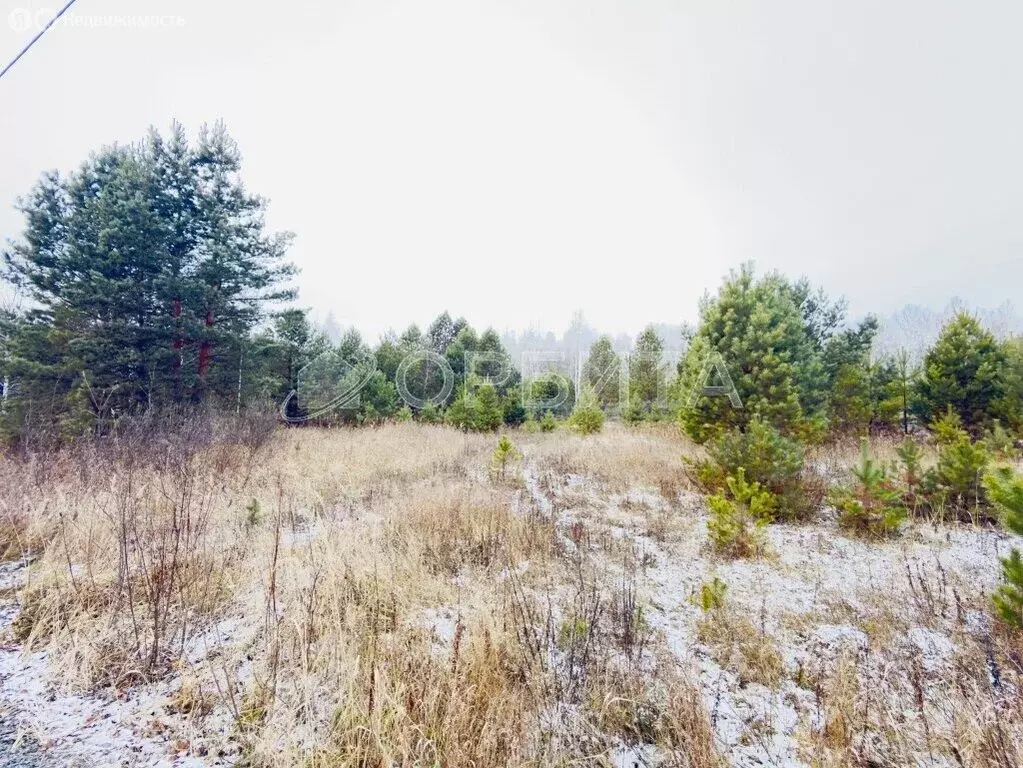 Участок в Тюменский муниципальный округ, деревня Головина (16 м) - Фото 2