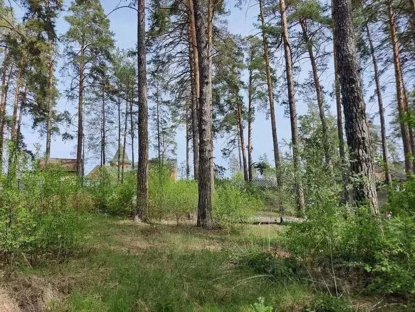 Участок в Самарская область, Тольятти Лесопарковое ш. (29.0 сот.) - Фото 1