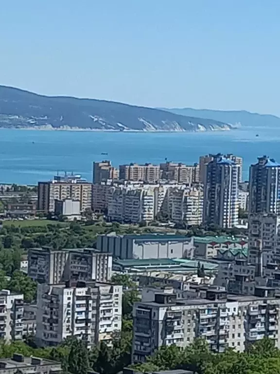 1-к кв. Краснодарский край, Новороссийск ул. Куникова, 47Г (43.0 м) - Фото 0