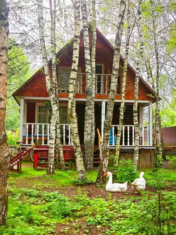 Дом в Владимирская область, Александровский муниципальный округ, ... - Фото 0