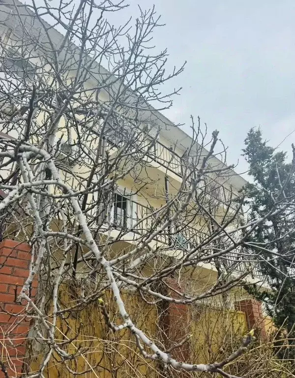 Помещение свободного назначения в Краснодарский край, Геленджик ... - Фото 1