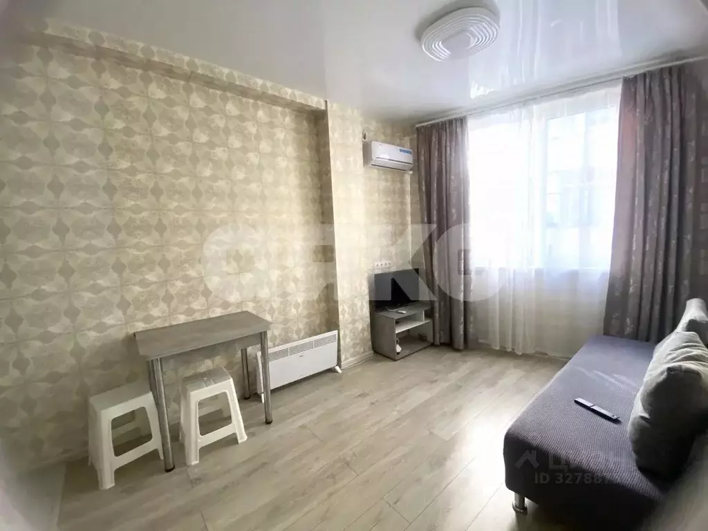 1-к кв. Краснодарский край, Сочи Виноградная ул., 121/6 (33.0 м) - Фото 1