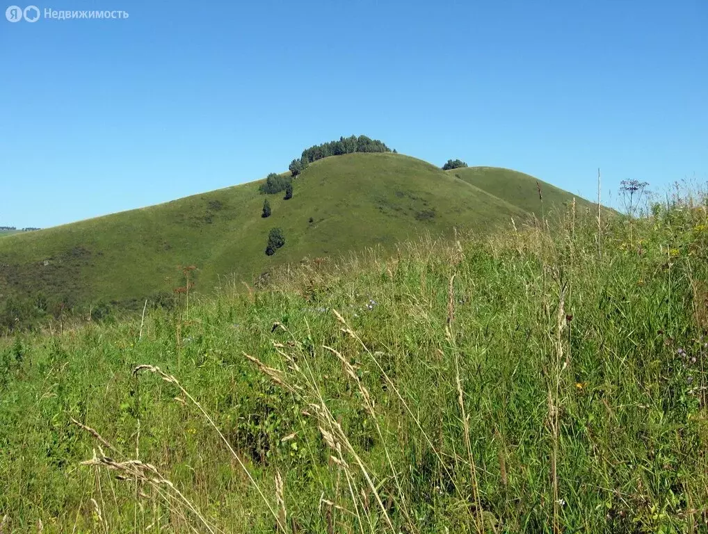 Участок в село Нижнекаянча, Центральная улица (20 м) - Фото 2