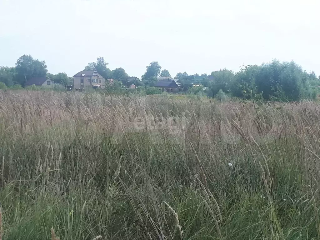 Купить Землю В Муроме Под Строительство Дома