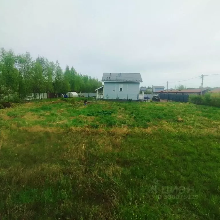 Участок в Ленинградская область, Всеволожский район, Колтушское ... - Фото 2