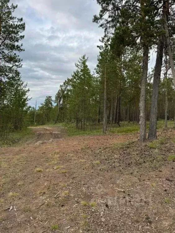 Участок в Саха (Якутия), Якутск  (900.0 сот.) - Фото 1