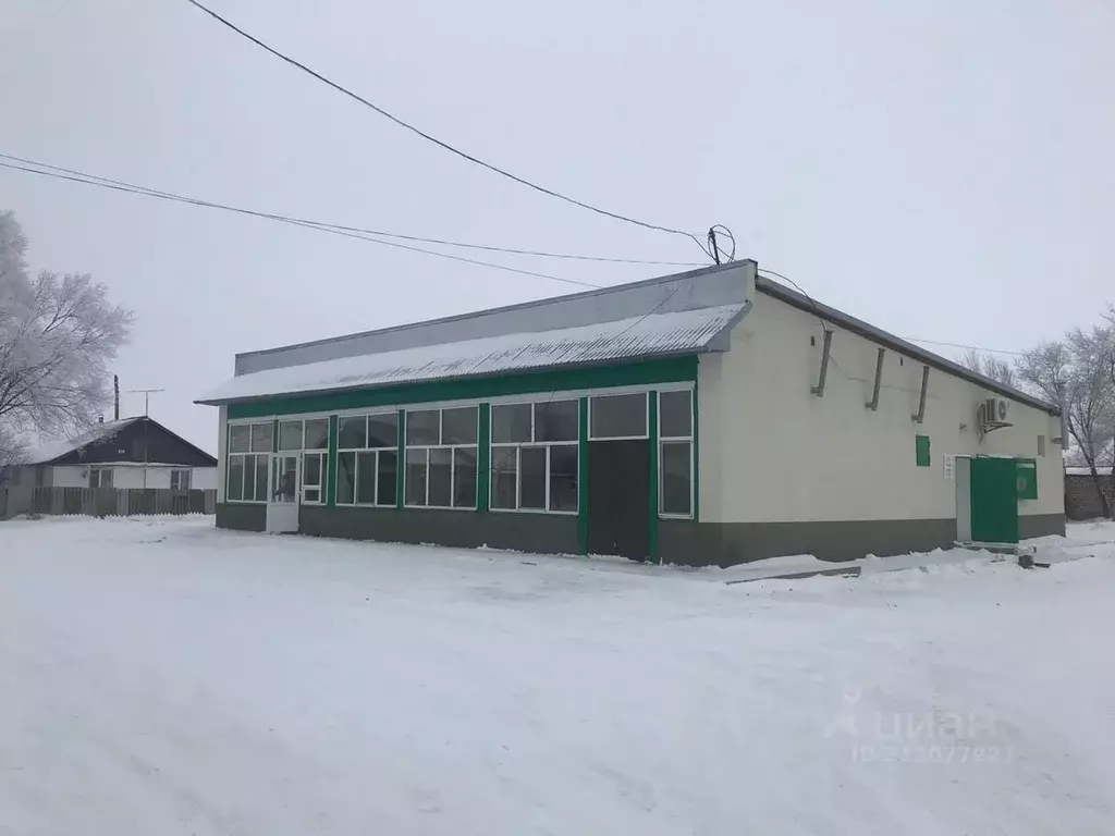 Помещение свободного назначения в Саратовская область, Дергачи рп ул. ... - Фото 1