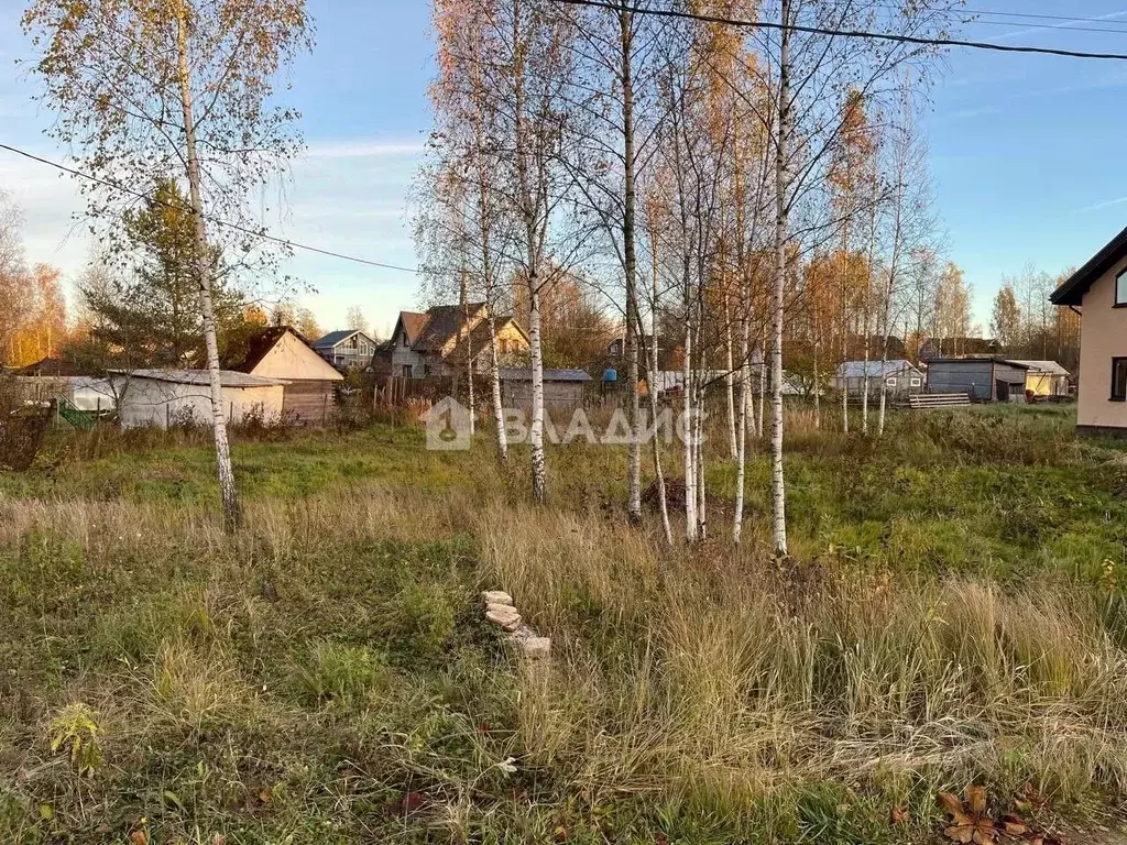 Участок в Ленинградская область, Ломоносовский район, Виллозское ... - Фото 1