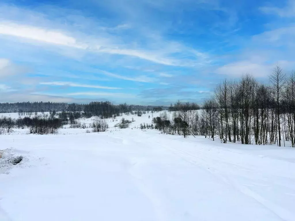 Участок в Московская область, Дмитровский муниципальный округ, Сбоево ... - Фото 2