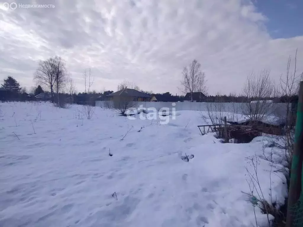 Участок в Талдомский городской округ, деревня Ольховик (15 м) - Фото 0