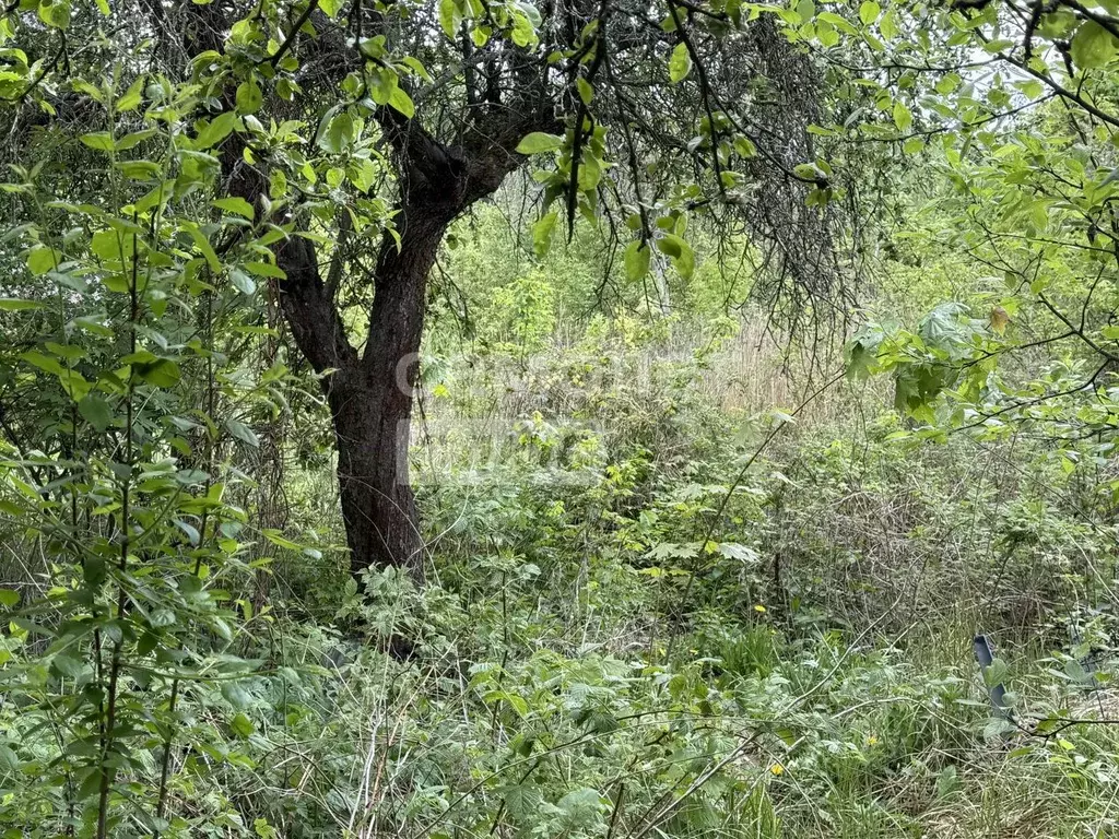 Дом в Рязанская область, Рязань Картонник СТ,  (20 м) - Фото 2