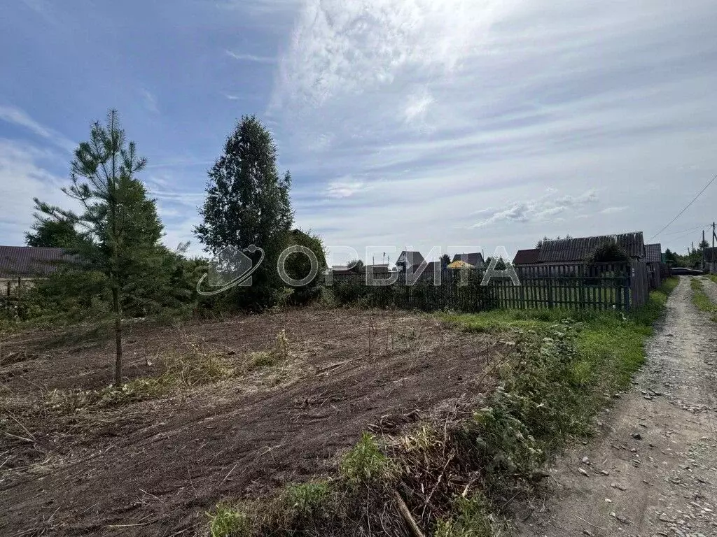 Участок в Тюменская область, Тюменский район, Черемушки-2 СНТ ул. ... - Фото 2