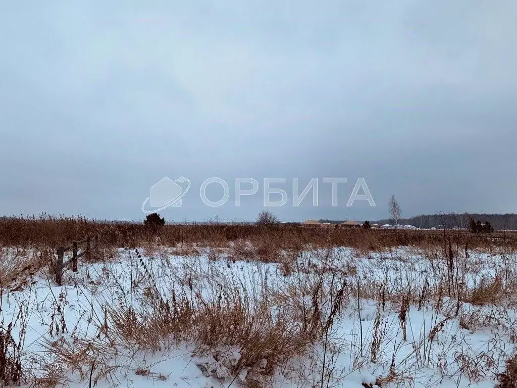 Участок в Тюменская область, Тюменский район, с. Каменка  (20.1 сот.) - Фото 1