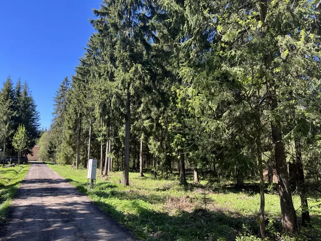 Участок в Московская область, Дмитровский муниципальный округ, ... - Фото 1