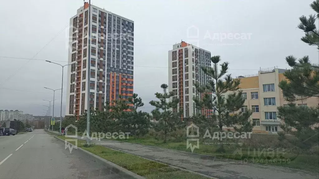 1-к кв. Волгоградская область, Волгоград ул. Грибанова, 3А (24.61 м) - Фото 2