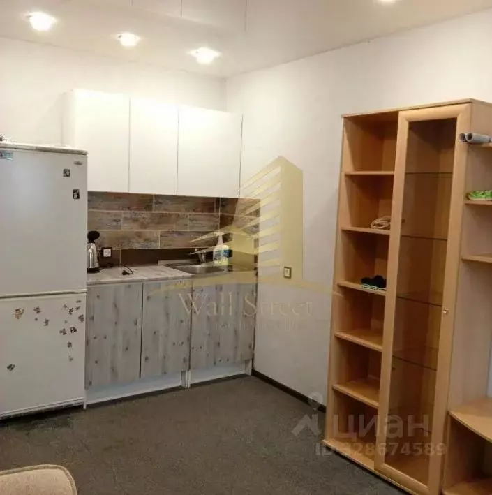 Студия Новосибирская область, Новосибирск ул. Виктора Уса, 9 (20.0 м) - Фото 2