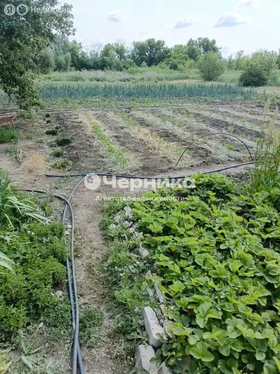 Дом в Красносулинский район, Комиссаровское сельское поселение, хутор ... - Фото 2