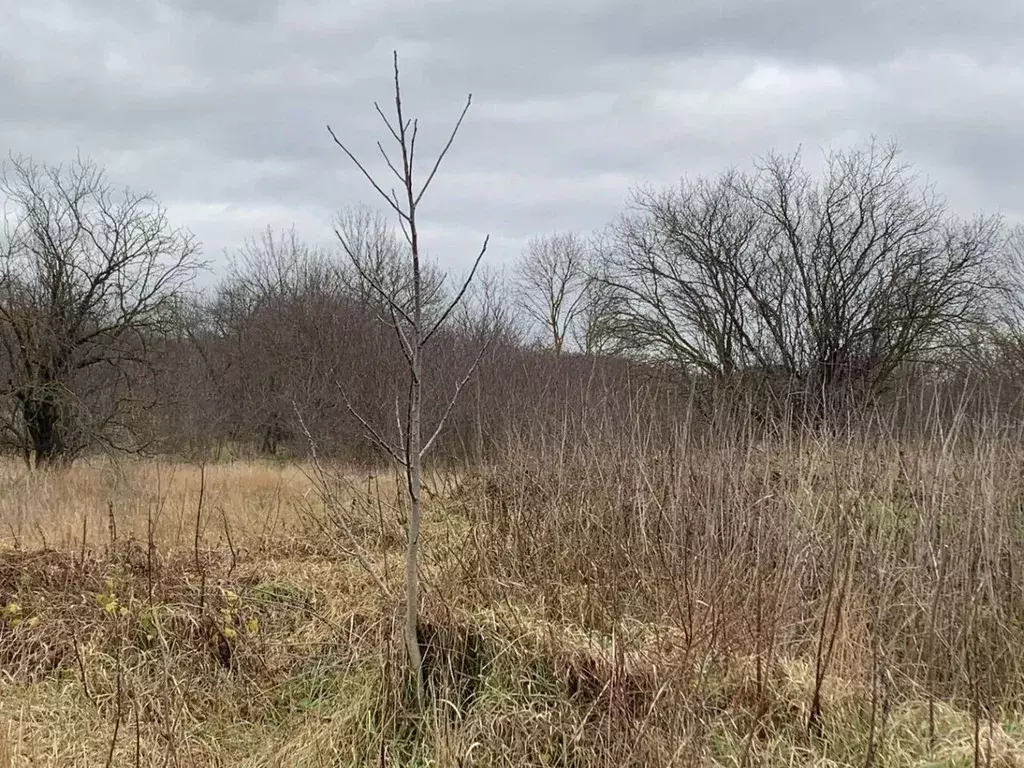 Участок в Краснодарский край, Анапа муниципальный округ, Гостагаевская ... - Фото 2