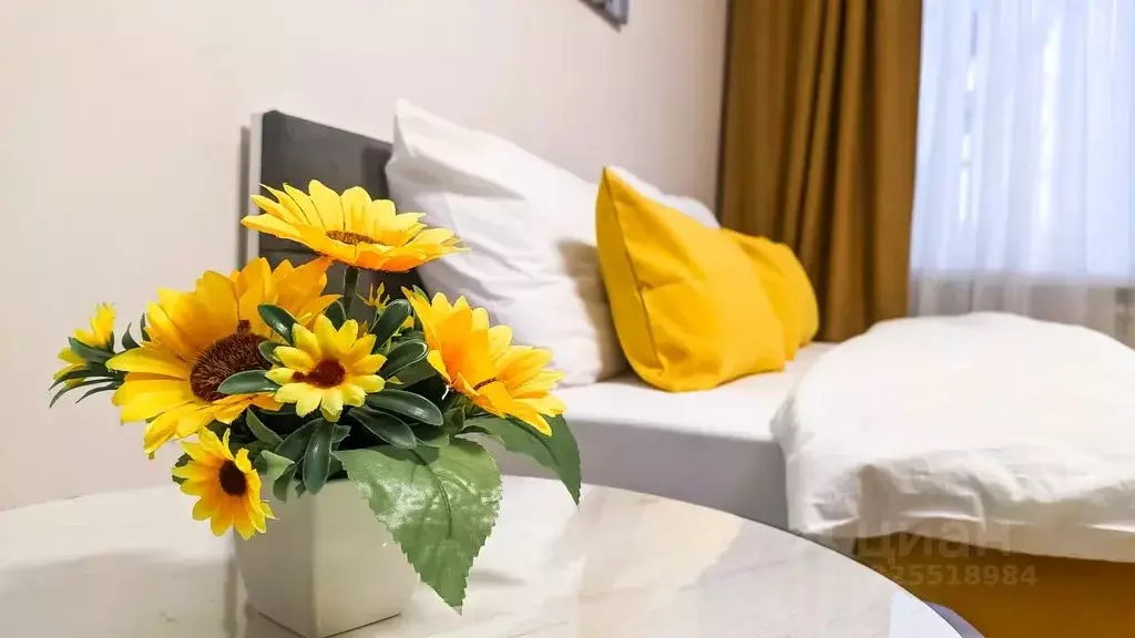 Студия Коми, Ухта проезд Дружбы, 8 (28.0 м) - Фото 1