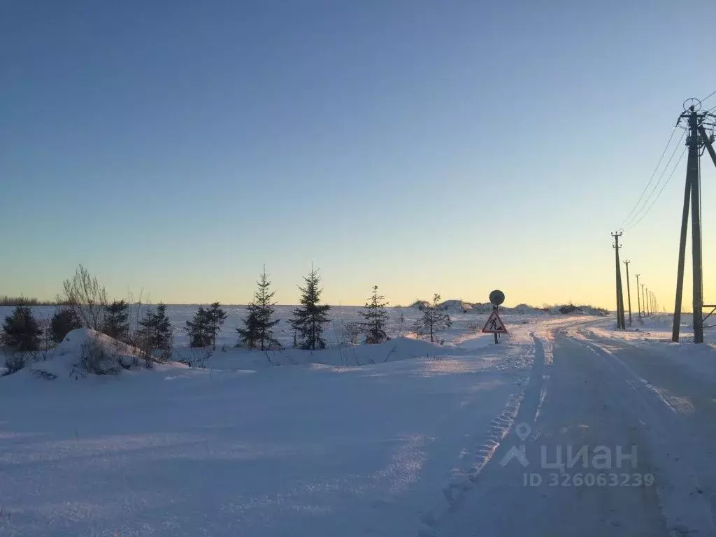 Участок в Ленинградская область, Ломоносовский район, Ропшинское ... - Фото 2
