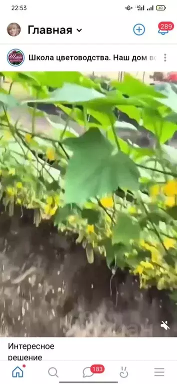 Участок в Калужская область, Ферзиковский район, Красный Городок ... - Фото 0