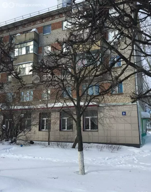 1-комнатная квартира: Чебоксары, проспект Мира, 20 (30.6 м) - Фото 2