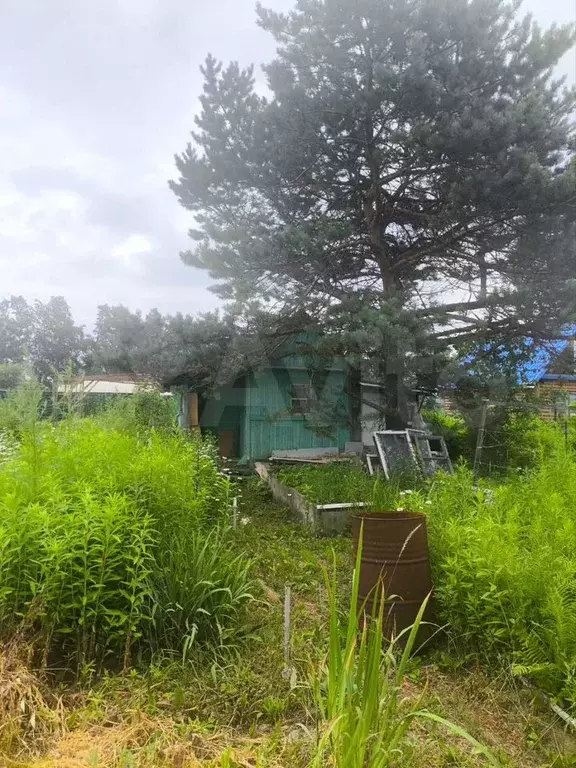 Дача 20 м на участке 6 сот. - Фото 0