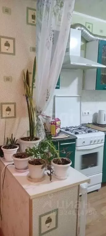 1-к кв. Ростовская область, Батайск Речная ул., 113 (38.0 м) - Фото 1