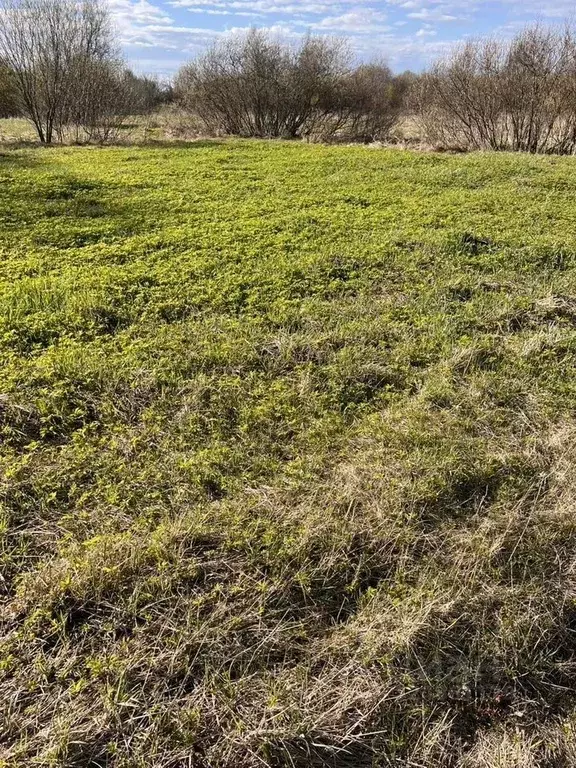 Участок в Ленинградская область, Кировский район, Шумское с/пос, с. ... - Фото 2