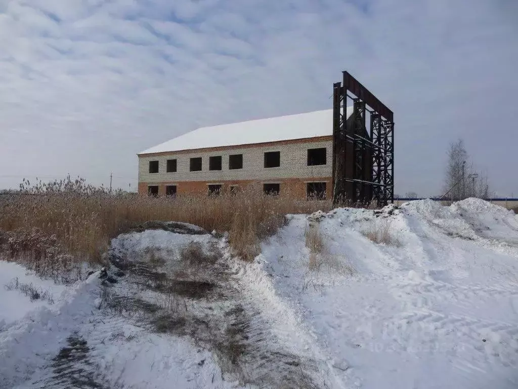 Помещение свободного назначения в Новосибирская область, Татарск ... - Фото 2
