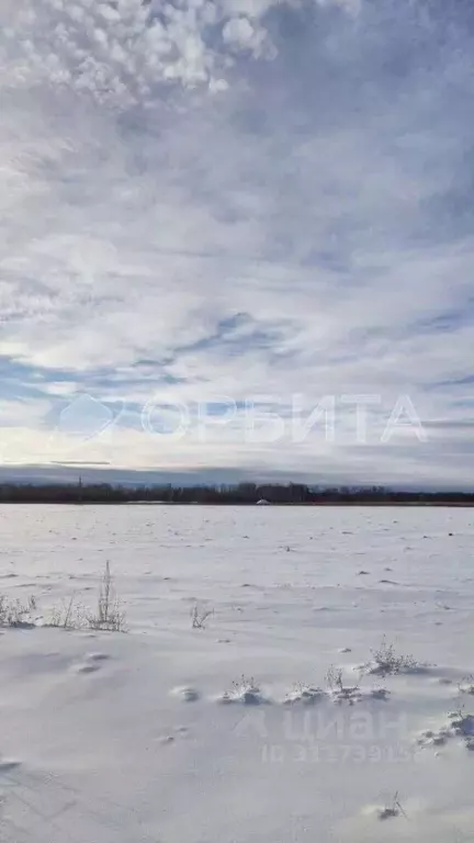 Участок в Тюменская область, Тюменский район, с. Горьковка Сибирская ... - Фото 1