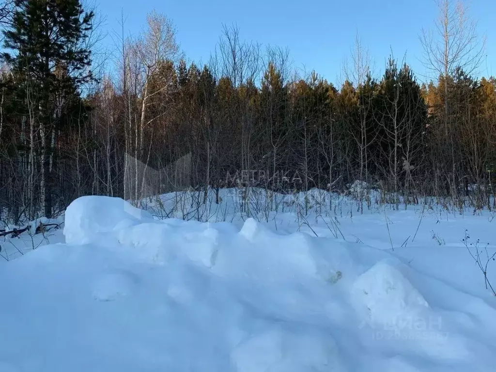 Участок в Тюменская область, Нижнетавдинский район, с. Тюнево ул. ... - Фото 0