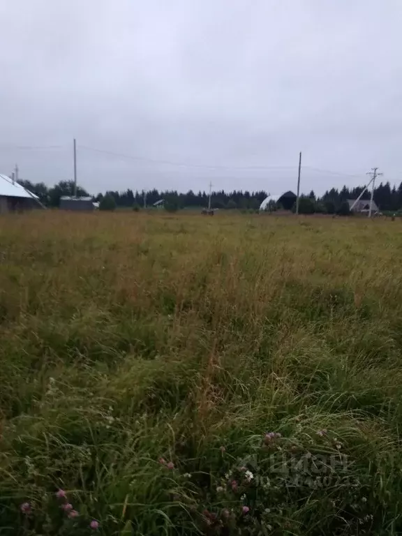 Участок в Архангельская область, Вельский район, с. Долматово ... - Фото 1