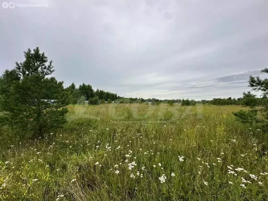 Участок в Ялуторовский район, село Сингуль Татарский (20 м) - Фото 0