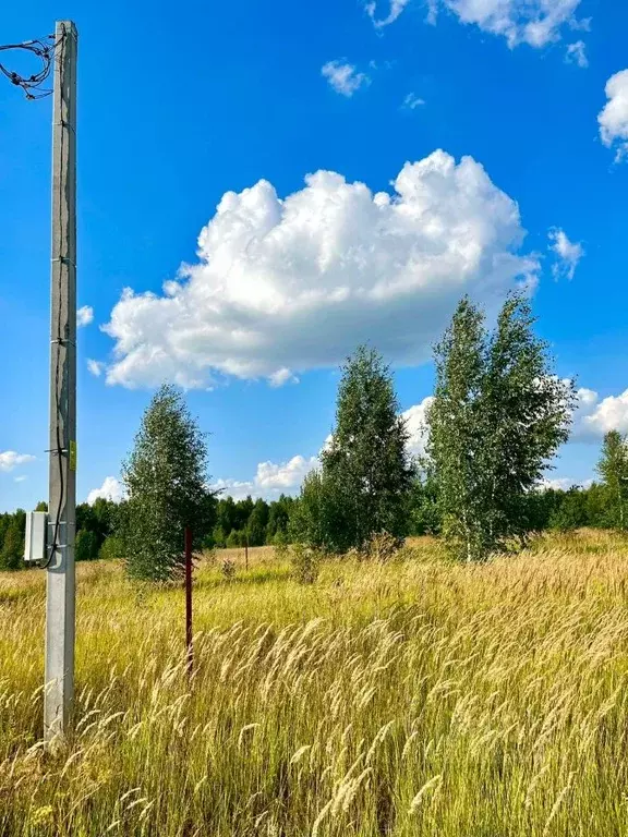 Участок в Татарстан, Зеленодольский район, Большеключинское с/пос, ... - Фото 0